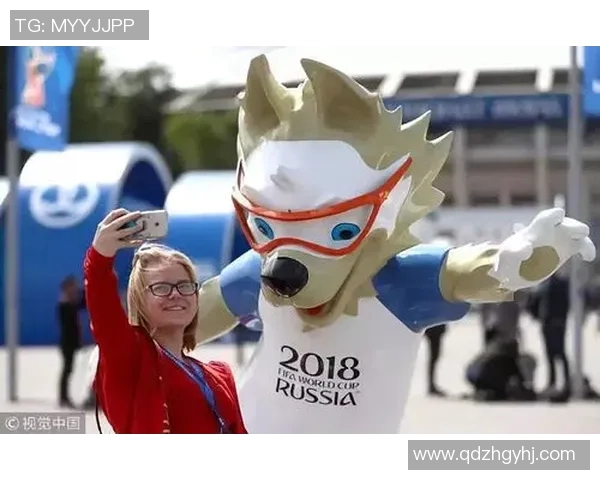 球迷假票事件调查